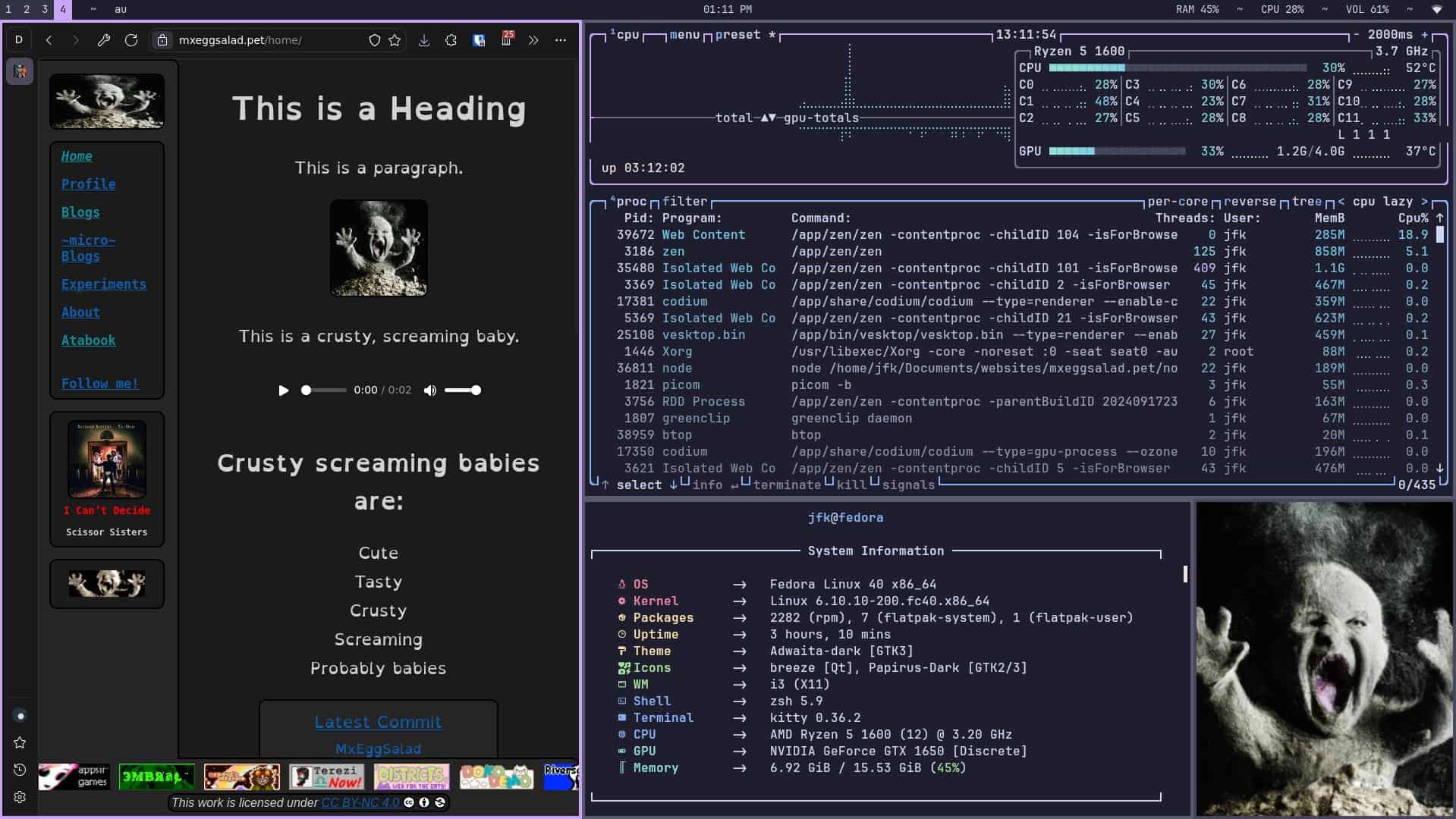 An image of i3 window manager with a web browser open, two terminals, one with btop and one with a neofetch, and that image of a crusty screaming baby i use