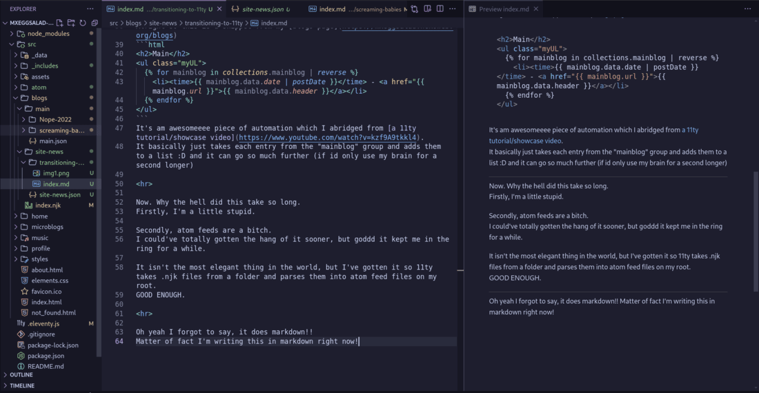 Screenshot of code editer, showing me writing this document that you are currently reading, in markdown